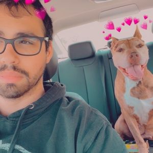 Meet your Posher, Alexander